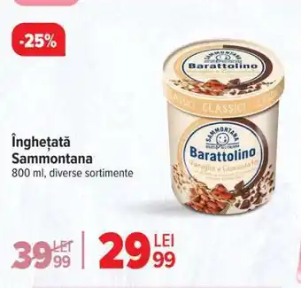 Carrefour Înghețată Sammontana Ofertă