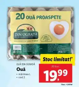 Lidl Ouă din ogradă Ofertă