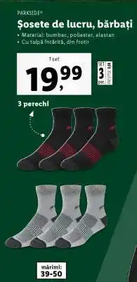Lidl Șosete de lucru, bărbați Ofertă