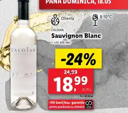 Lidl CALOIAN Sauvignon Blanc Ofertă