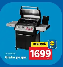 Lidl GRILLMEISTER Grătar pe gaz Ofertă