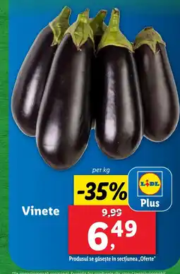 Lidl Vinete Ofertă