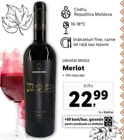 Lidl UNGHENI BRIDGE Merlot Ofertă