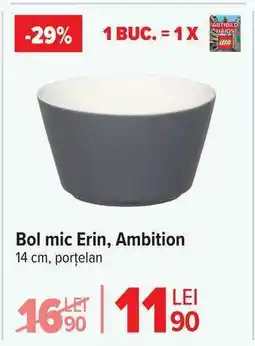 Carrefour Bol mic Erin, Ambition Ofertă