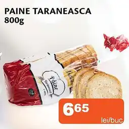 Unicarm Paine taraneasca Ofertă