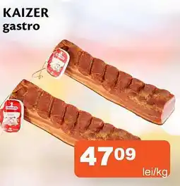 Unicarm Kaizer gastro Ofertă