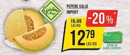 Mega Image Pepene Galia Ofertă