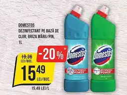 Mega Image DOMESTOS Dezinfectant pe bază de clor, briza mării/pin Ofertă