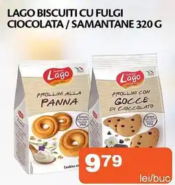 Unicarm Lago biscuiti cu fulgi ciocolata/samantane Ofertă
