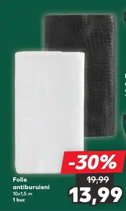 Kaufland Folie antiburuieni Ofertă