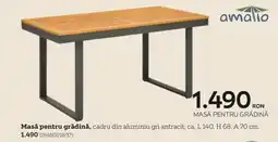 XXXLutz Masă pentru grădină Ofertă