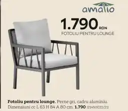 XXXLutz Fotoliu pentru lounge Ofertă