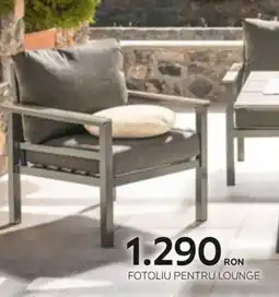 XXXLutz Fotoliu pentru lounge Ofertă