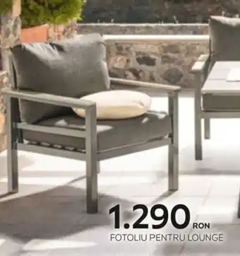 XXXLutz Fotoliu pentru lounge Ofertă