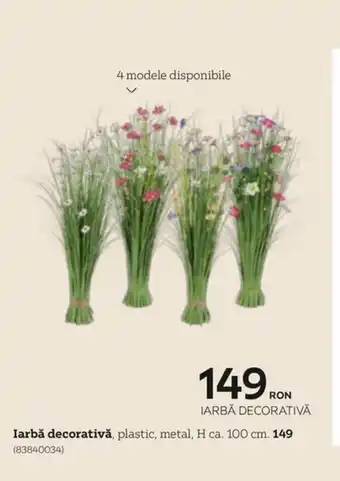 XXXLutz Iarbă decorativă Ofertă