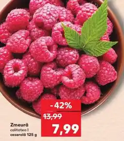 Kaufland Zmeură Ofertă
