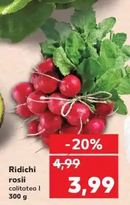 Kaufland Ridichi roşii Ofertă