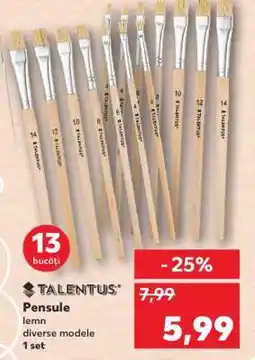 Kaufland Pensule Talentus Ofertă