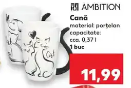 Kaufland Cană Ofertă