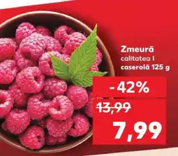 Kaufland Zmeură calitatea I Ofertă