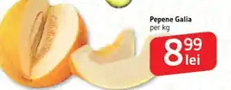 Supeco Pepene Galia Ofertă