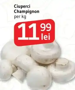 Supeco Ciuperci Champignon Ofertă