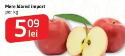 Supeco Mere Idared import Ofertă