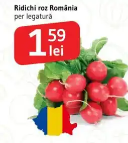 Supeco Ridichi roz România Ofertă