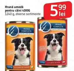 Supeco Hrană umedă pentru câini 4DOG Ofertă