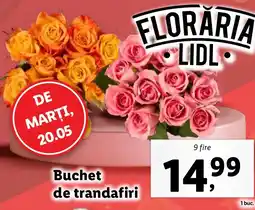 Lidl Buchet de trandafiri Ofertă