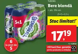 Lidl TUBORG Bere blondă Ofertă