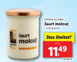 Lidl LĂPTĂRIA CU CAIMAC Iaurt molcuţ Ofertă