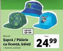 Lidl Minecraft Şapcǎ / Pălărie cu licență, băieţi Ofertă