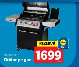 Lidl GRILLMEISTER Grătar pe gaz Ofertă