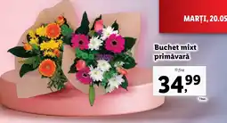 Lidl Buchet mixt primăvară Ofertă