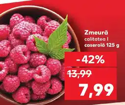Kaufland Zmeură Ofertă