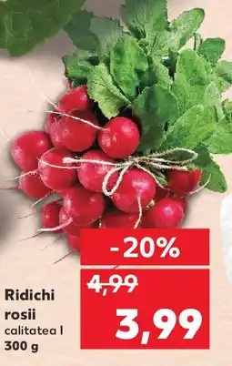 Kaufland Ridichi rosii Ofertă