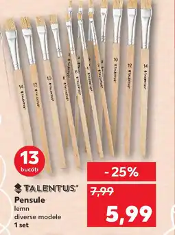 Kaufland TALENTUS Pensule Ofertă
