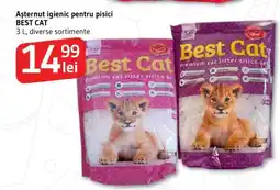 Supeco BEST CAT Ofertă
