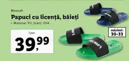 Lidl Papuci cu licență, băieți Ofertă