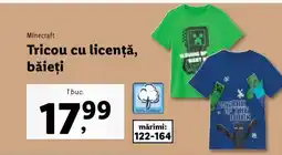 Lidl Tricou cu licență, băieți Ofertă