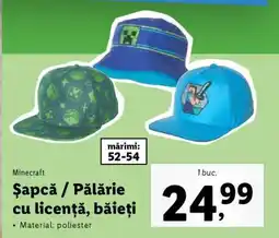 Lidl Șapcă / Pălărie cu licență, băieți Ofertă