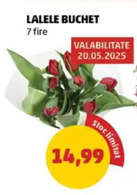 Penny LALELE BUCHET Ofertă