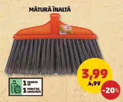Mătură Înaltă
