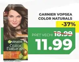 Simos Garnier vopsea color naturals Ofertă