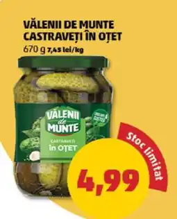 Penny Vălenii de Munte Castraveți în Oțet Ofertă