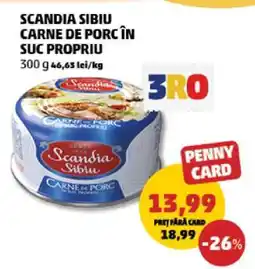 Penny SCANDIA SIBIU Carne de porc în suc propriu Ofertă