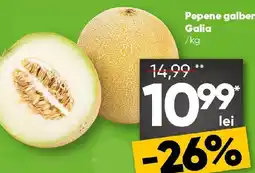 Pepene galben Galia