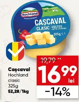 PROFI Cascaval Hochland clasic Ofertă