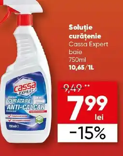 PROFI Soluţie curăţenie Cassa Expert baie Ofertă